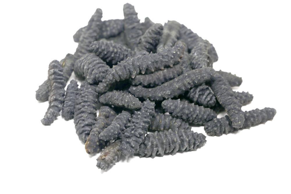 Australian Dried Sea Cucumber 16 Oz 澳州淡干黑刺参 16 Oz CoCo Island Mart