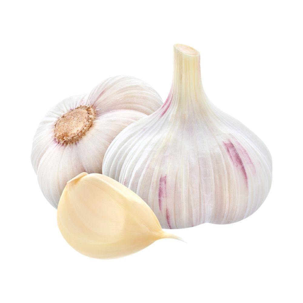 Fresh Garlic Heads (5 pcs) - 大蒜头 5个/袋 - CoCo Island Mart