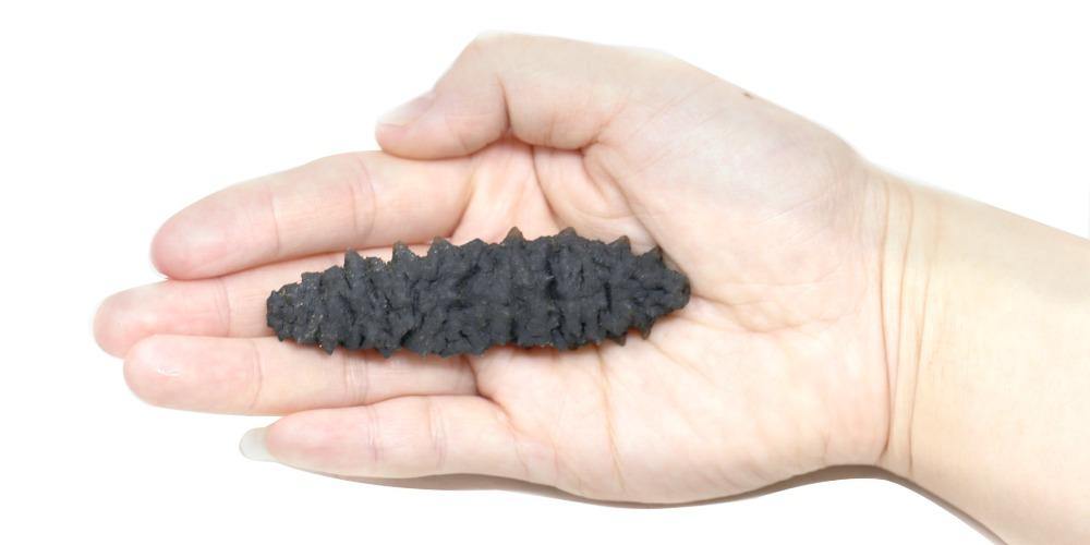 Australian Dried Sea Cucumber 16 Oz - 澳州淡干黑刺参 16 Oz - CoCo Island Mart